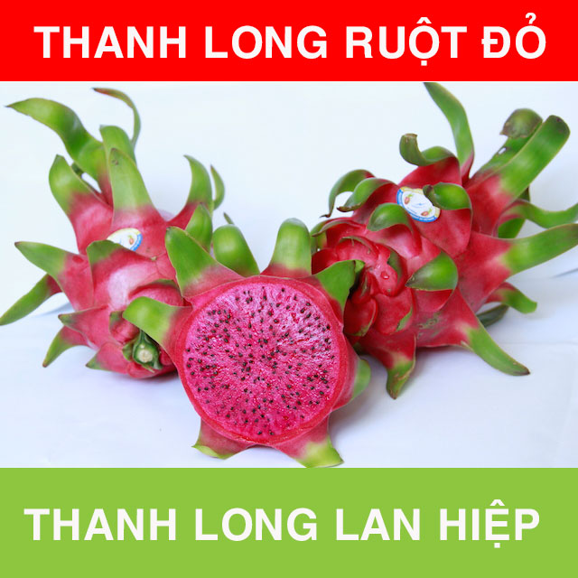 Thanh Long Ruột Đỏ